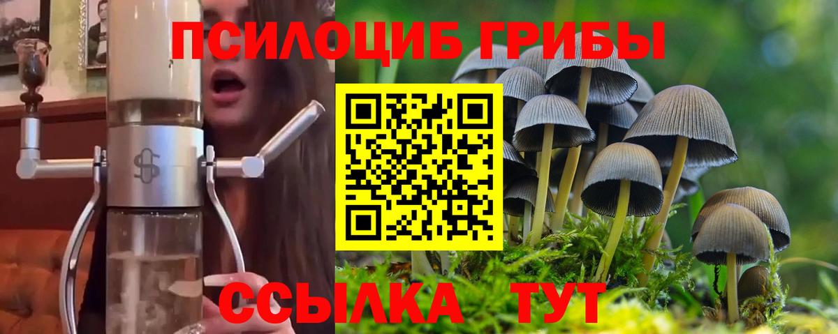 Первоуральск  Псилоцибиновые грибы MAGIC MUSHROOMS  Вход с VPN 